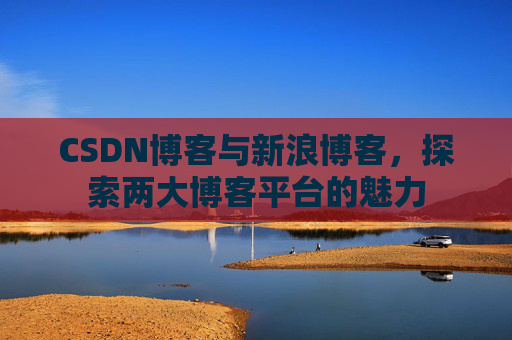 CSDN博客与新浪博客，探索两大博客平台的魅力
